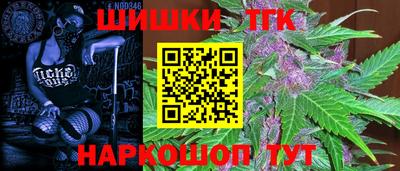 тгк Жуковский