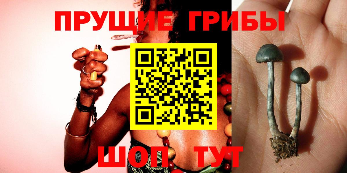 Галлюциногенные грибы ЛСД  Вход с VPN  Дальнегорск 